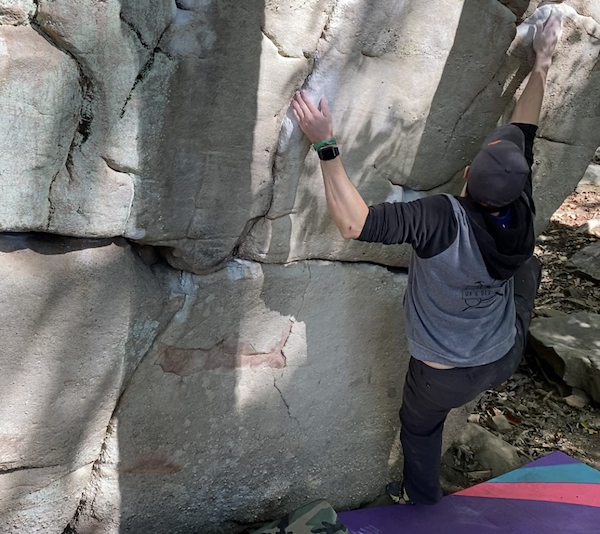 Fat Cat V5 at LRC